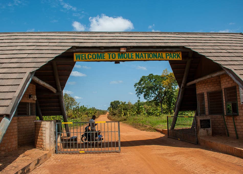 Northern — Mole National Park