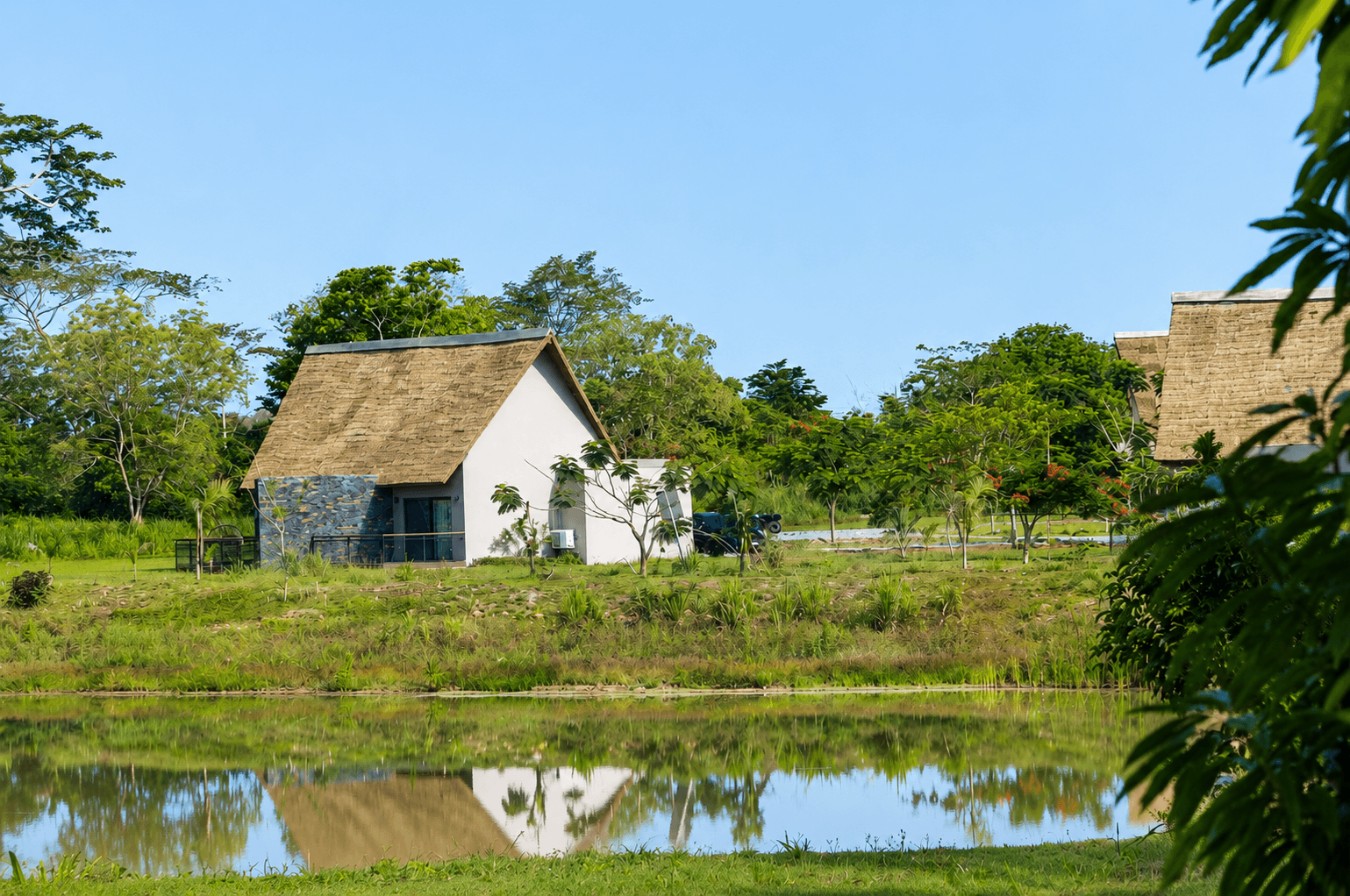 Resort cottages by a calm pond with lush tropical greenery